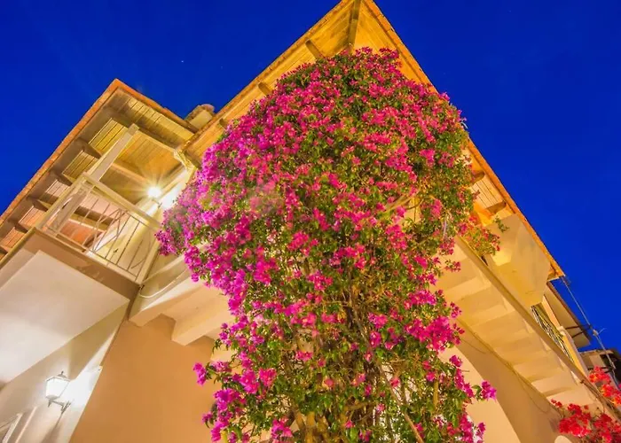 Emily Zakynthos Apartmán Tsilivi (Zakynthos)