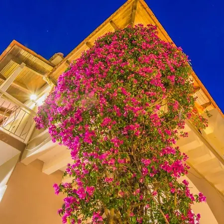 Emily Zakynthos Apartment Planos